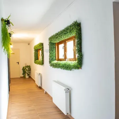 Konukevi Le Premier Köstence